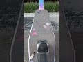 BMX scooters #bmx #scooter #makethisgoviral #edit