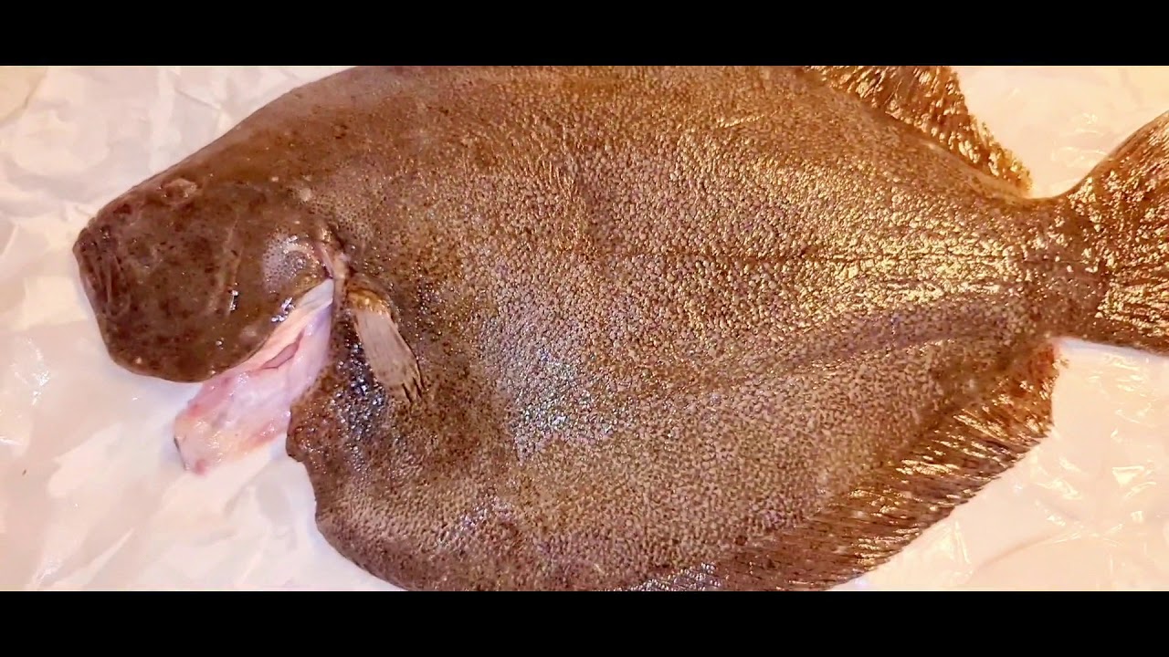 Grilled Brill Fish in Garlic & Herb butter. YouTube