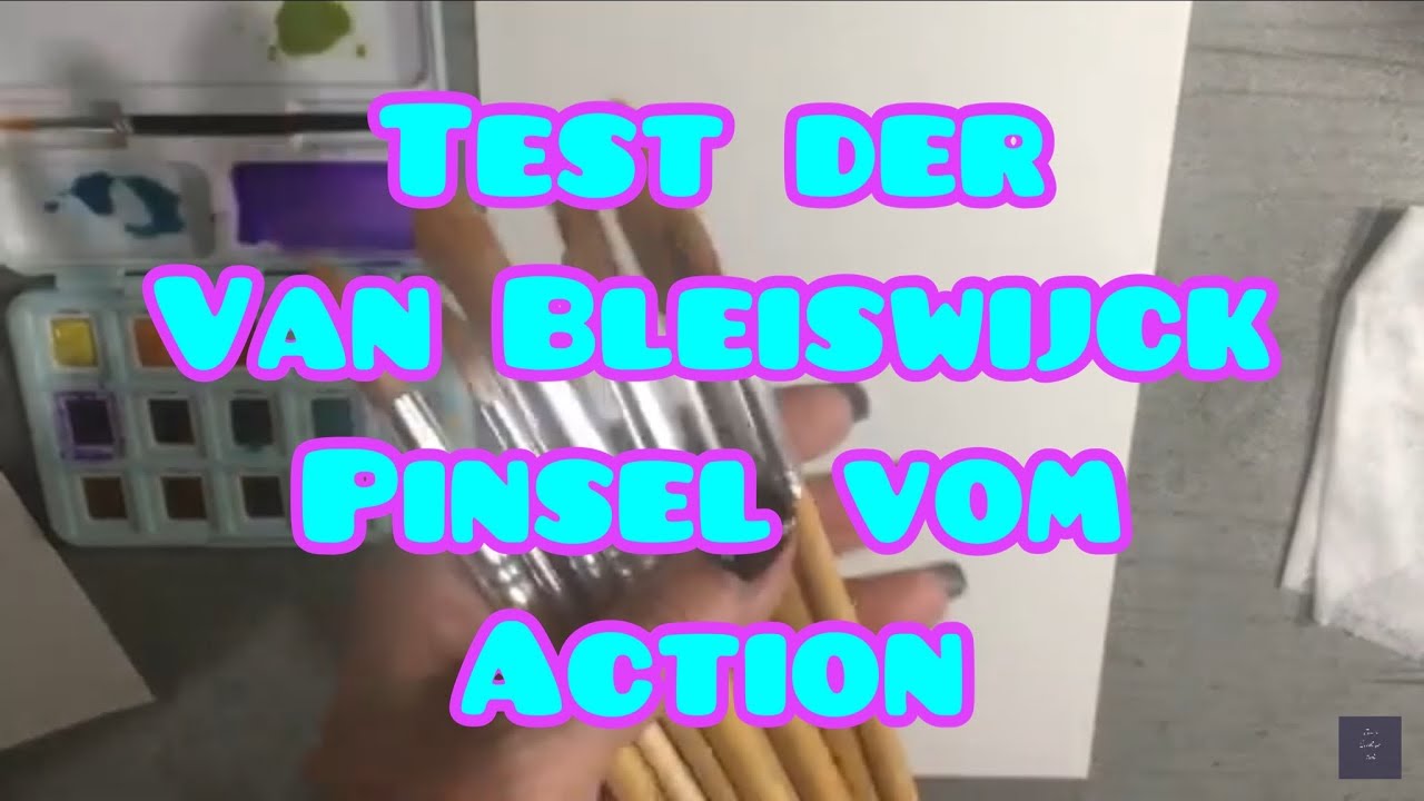 Van Bleiswijck Pinsel im Test vom 