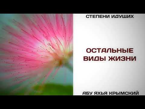 133. Остальные виды жизни || Абу Яхья Крымский