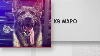 Teen shot, killed by police after allegedly shooting and killing K-9 officer in Clayton County