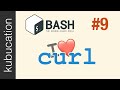 Curl  the only http client youll ever need  practical bash  terminal 9