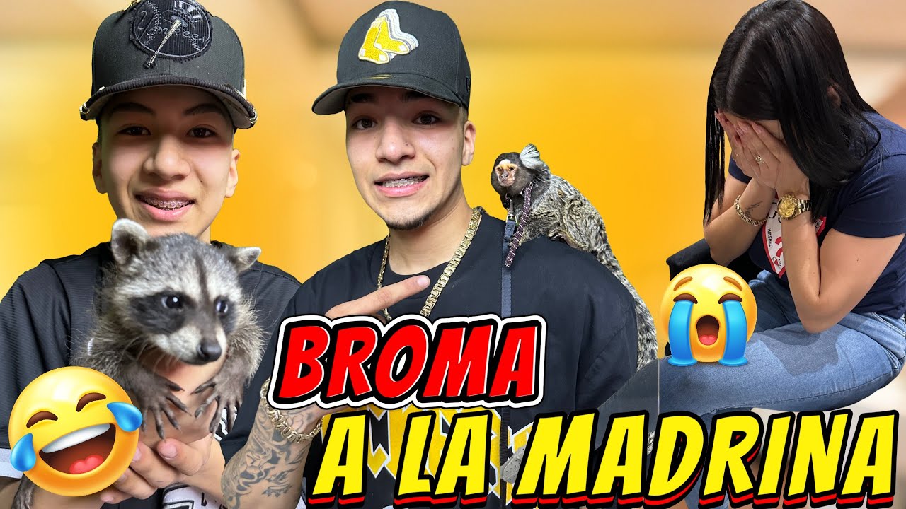 Se Escapa Lucas Y Rocket | Los Reyes Toys