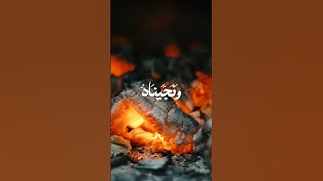 تلاوة  بصوت القارئ محمد ايوب رحمه الله من سورة الأنبياء 💚 قران كريم