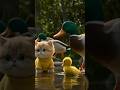The Friendship Between a Kitten and a Duckling #aicat #cat #catlover #aicats