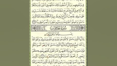 سورة الحجرات للشيخ زكي داغستاني رحمه الله
