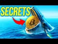 Secrets of the bitcoin whales