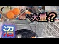 たこ焼き設定で曜ちゃん取れるまで！クレチャンpart117