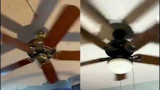 Casablanca Panama 5 Vs Hunter 2nd Century Original ceiling fan (K55 Vs Oil Bath)