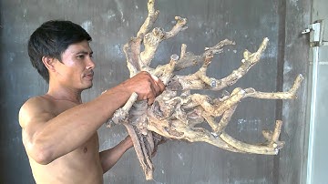 Sam núi kỷ lục Việt Nam