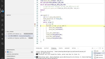 pi pico debugging demo