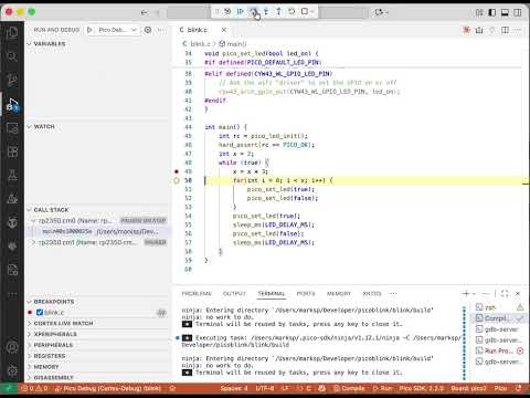 pi pico debugging demo