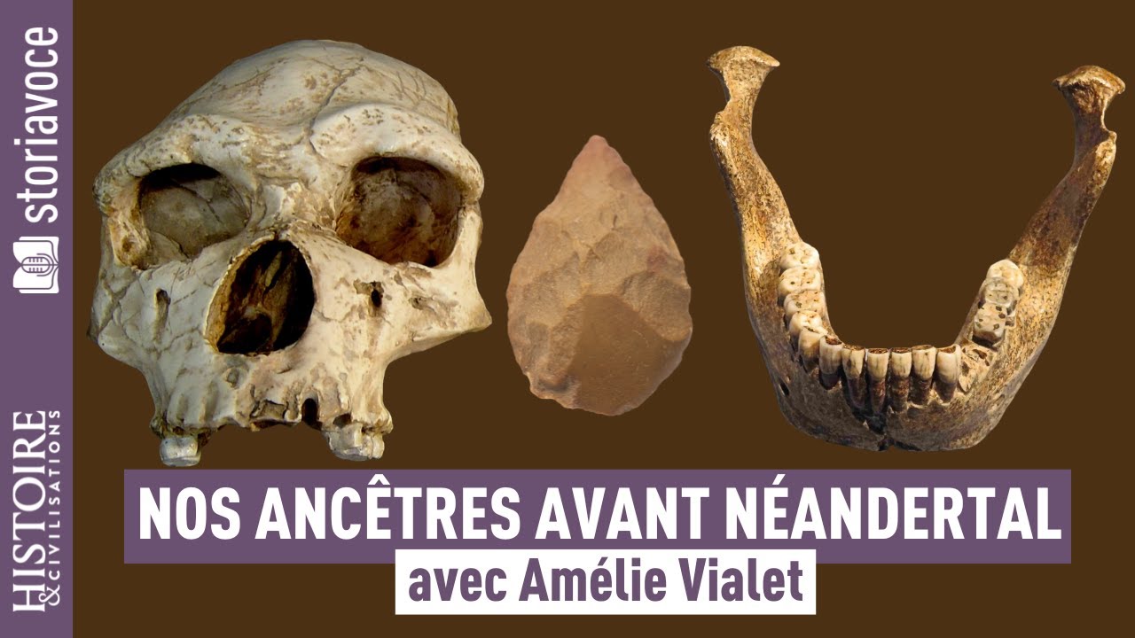 L'Homme de Tautavel : notre plus vieux cousin européen, avec Amélie Vialet