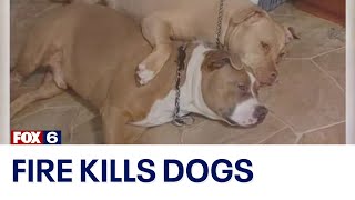 Sheboygan fire killed 2 dogs, family lost everything | FOX6 News Milwaukee