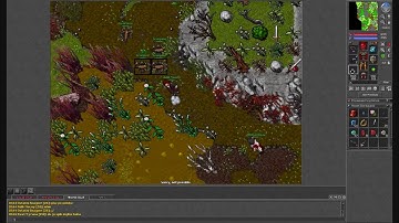 Tibia Bot Killing / Trapowanie botów #20