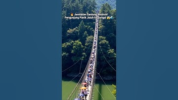 🔥 Jembatan Gantung Ambruk! Pengunjung Panik Jatuh ke Sungai 😱🌊 #aishorts #automobile #aicontent #fyp