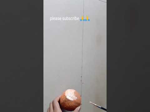 Diy Coconut Shell Birds |Wall Hanging Craft Ideas |Beautiful Coconut Shell Craft |#Shorts