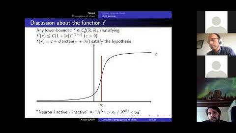 Xavier Erny - Conditional propagation of chaos for mean field system of neurons
