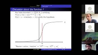 Xavier Erny - Conditional propagation of chaos for mean field system of neurons screenshot 2