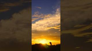 Amazing Sunset 🤩 #sunset #sunsets #beautifulsunset