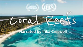 Coral Reefs: The Rainforests of the Sea