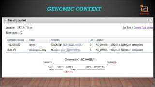 Gene | Biological Databases | TSSL