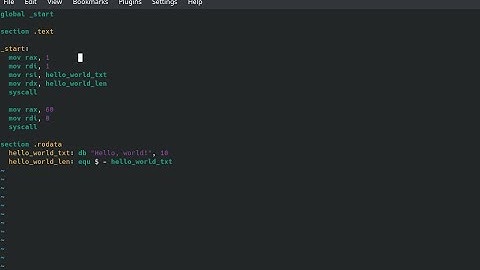 x86 Assembly Programming 1: Preliminary Knowledge, Setup and Basics