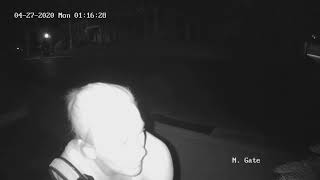 Mailbox Bandit
