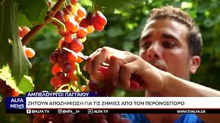 ΑΜΠΕΛΟΥΡΓΟΙ ΠΑΓΓΑΙΟΥ: ΖΗΤΟΥΝ ΑΠΟΖΗΜΙΩΣΗ ΓΙΑ ΤΙΣ ΖΗΜΙΕΣ ΑΠΟ ΤΟΝ ΠΕΡΟΝΟΣΠΟΡΟ