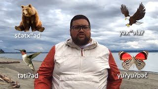 Who Painted the Flowers - Told by Ty Juvinel (Tulalip)