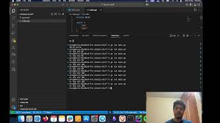 Celebrity Golang Atomic Int Wealth