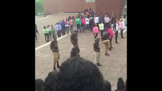 Alpha Phi Alpha Tau Chapter | Alpha Kappa Alpha Gamma Chapter | Spring 2016 Yard Show