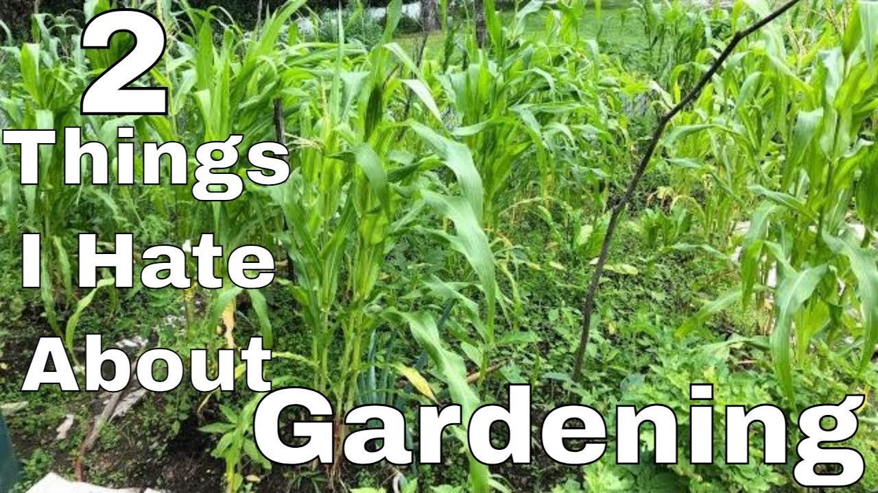 Two things I hate about Gardening - YouTube