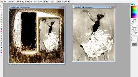 Paint Shop Pro Layers and Wand Tool