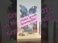 I Found This Hidden Crystal Shop in Houston ✨ | Krystallia Crystals