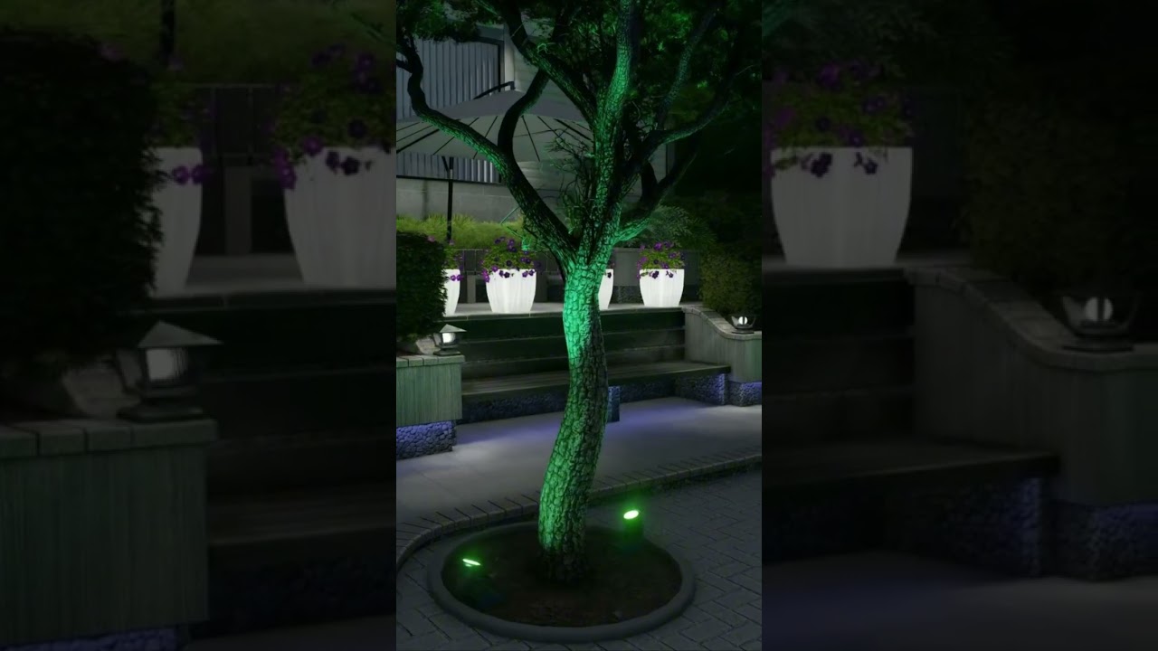 Ландшафтный дизайн. 