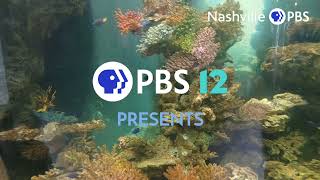 PBS12 (2022)