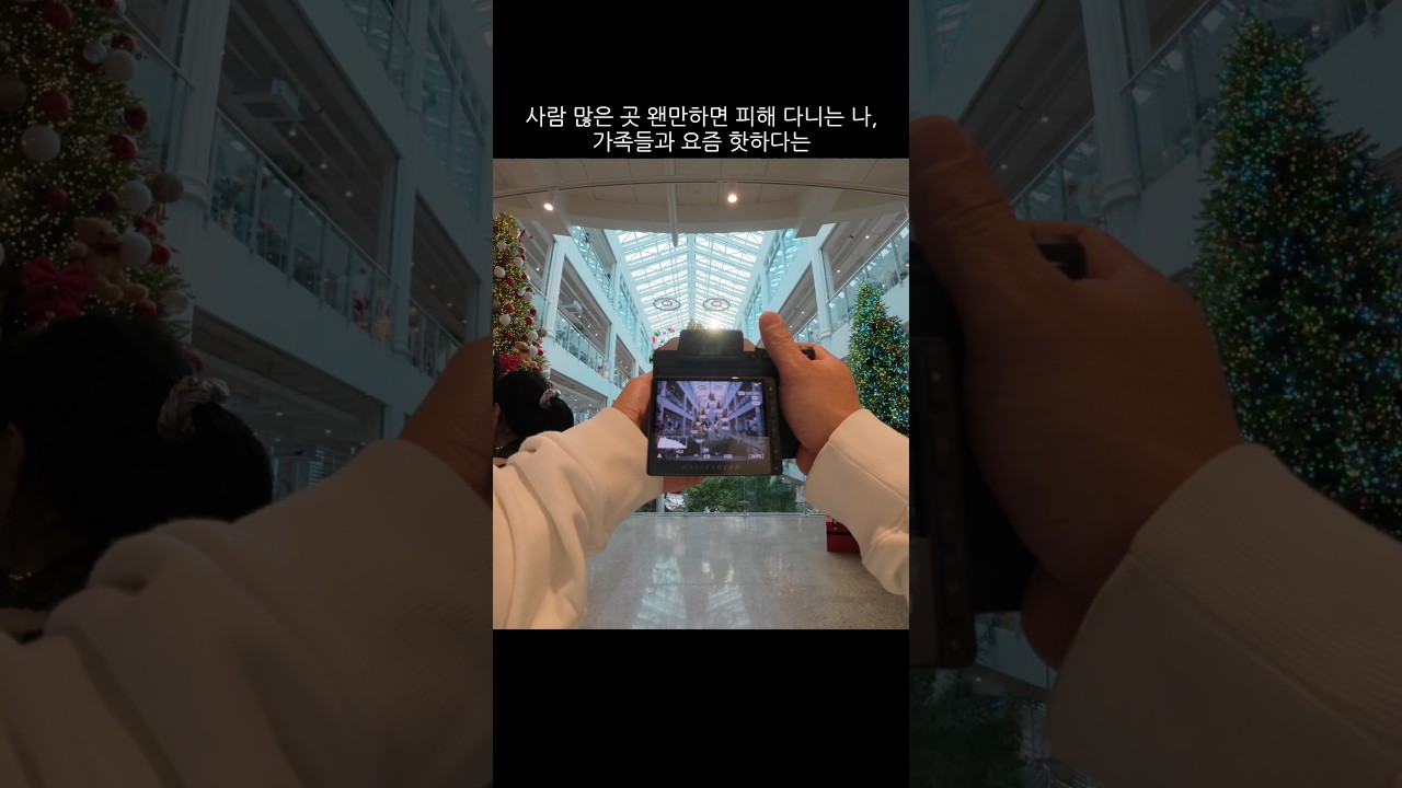 죽어도 가기 싫었는데, 억지로 끌려가서 찍은 결과물 #x2dii #hasselblad #크리스마스 #카페