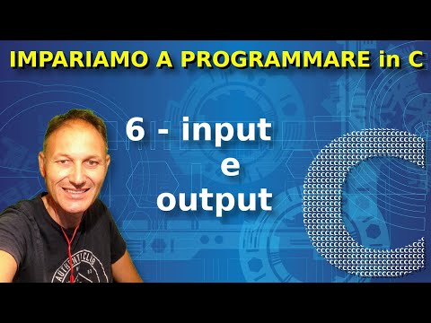 Video: Qual è l'input e l'output di una funzione?