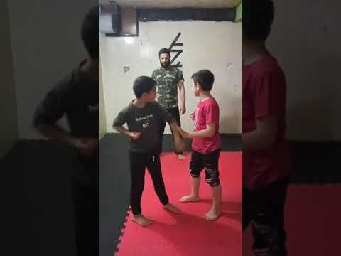المدرسة النموذجية للدفاع عن النفس زمقتال كونغ فو