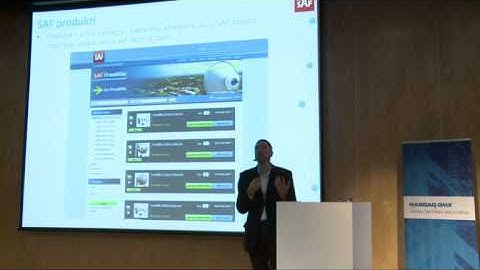 Naudas Lietas 2011: Normunds Bergs, SAF Tehnika, Valdes priekšsēdētājs