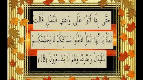 القرآن الكريم سورة النمل الأية 18 قراءة السديس.wmv