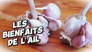 Les bienfaits de lail