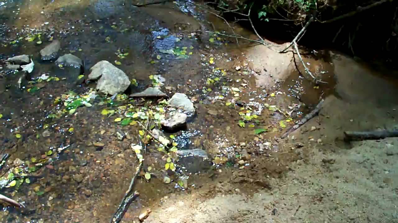 Kodak  Z1012 HD Test Footage