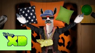 Steve La Llama Hot Steve Hot