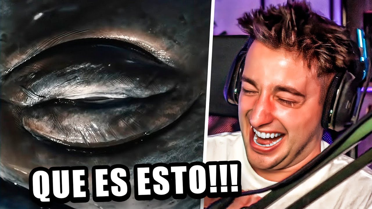 COSAS QUE NO SABIAS QUE TE RECUERDAN A ELLA!!