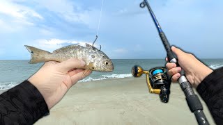 You NEVER Know what will Bite in the SURF.. Epic Beach Fishing