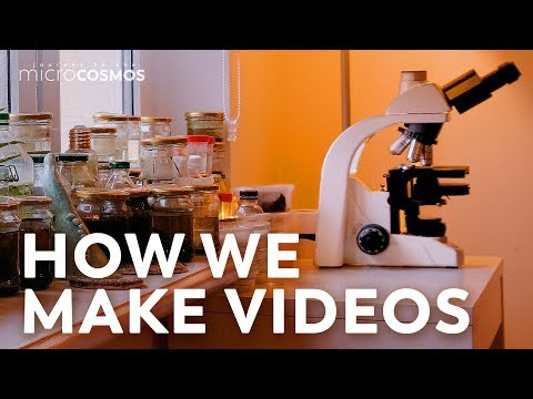 What Microscope Do We Use? (And Other Frequently Asked Questions)