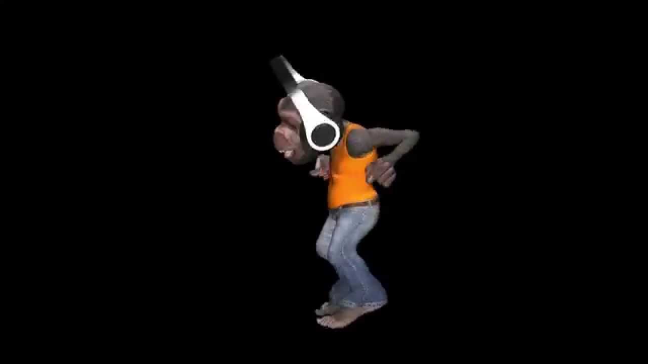 Monkey Dancing in Headphones - Chimp Male - VJ Loop - Alpha - YouTube