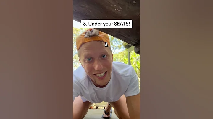 Everywhere SPIDERS Live In Australia! #shorts